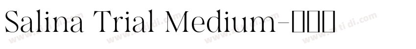 Salina Trial Medium字体转换